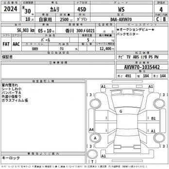 TOYOTA CAMRY HYBRID WS