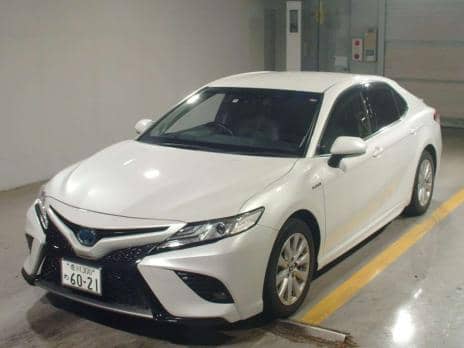 TOYOTA CAMRY HYBRID WS
