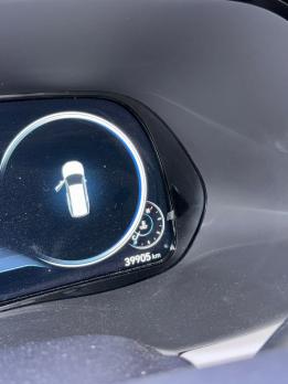 HYUNDAI PALISADE 2.2 CRDI AT 2WD PRESTIGE 2021